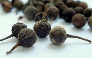 cubeb-233961_1280_A