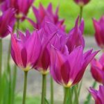 Foto: fluwel.de