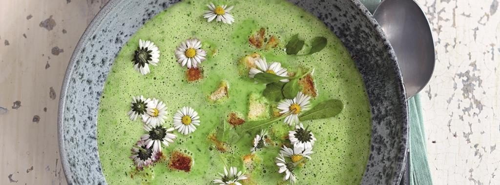 Gänseblümchen-Suppe