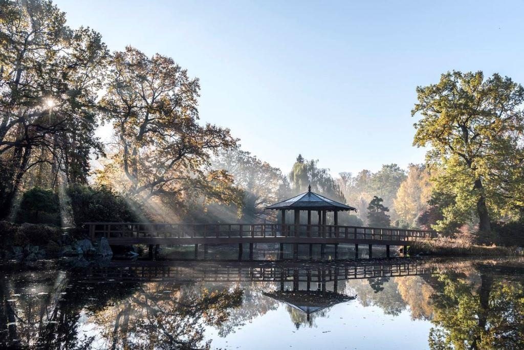 Fotoausstellung in Schloss Dyck: Gartenfokus - Entdeckungen in Südpolen
