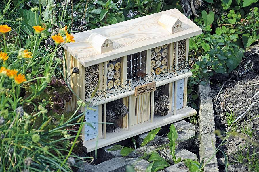 Ein Zuhause für Bienen und Schmetterlinge