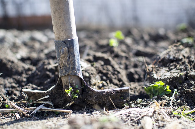 Sonder-Einsatz im Kartoffelgarten