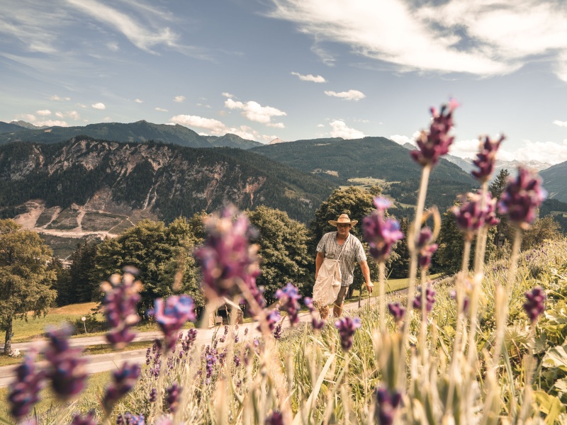 Ein Lavendelbauer schafft in den Salzburger Bergen ein Stück Provence