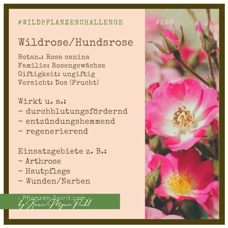 Dein MuttertagsGeschenk