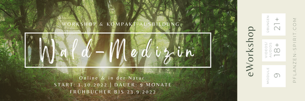 Wald-Medizin: Wald-Apotheke, Wald-Baden & Wald-Coaching